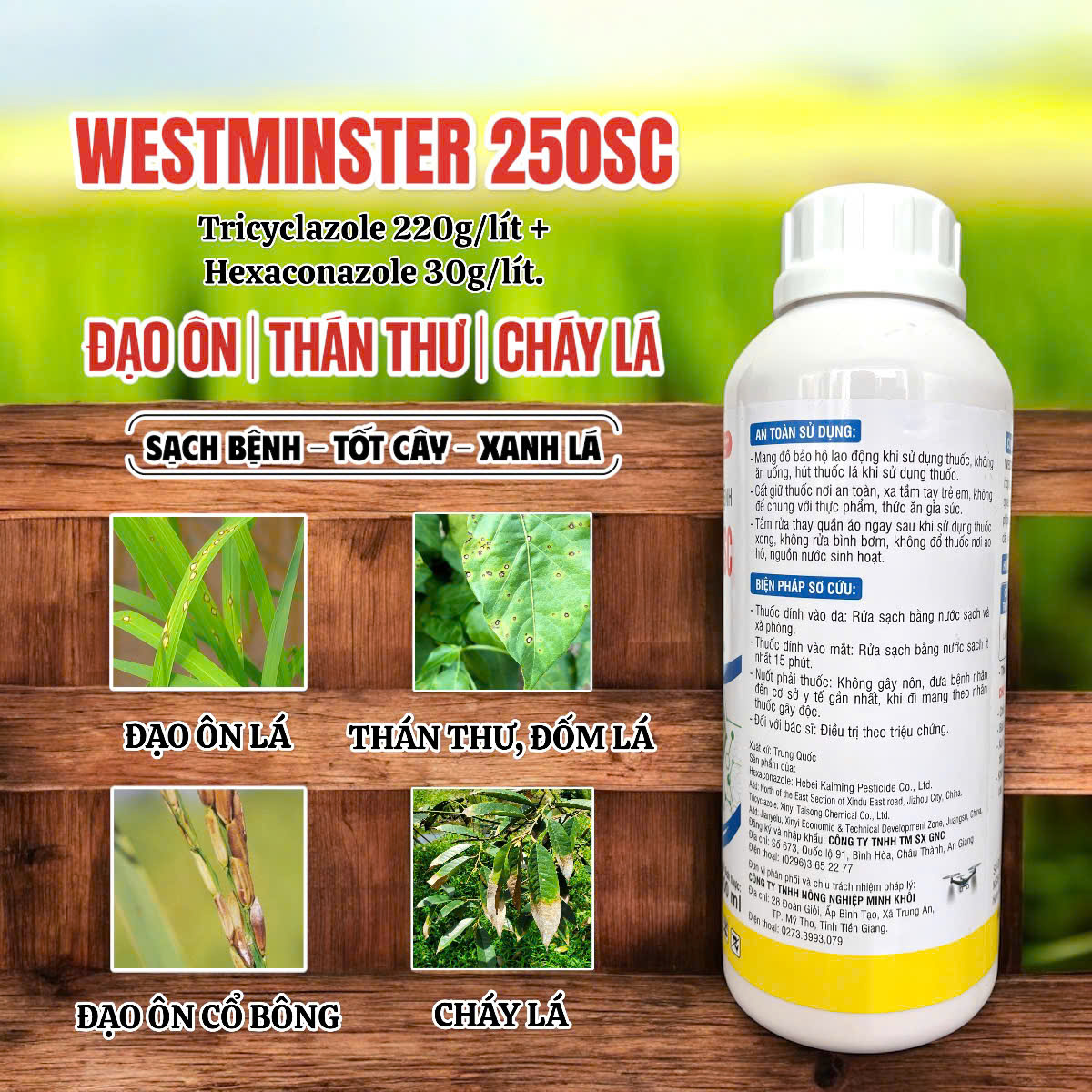 Westminster 250SC - Chai 900ml